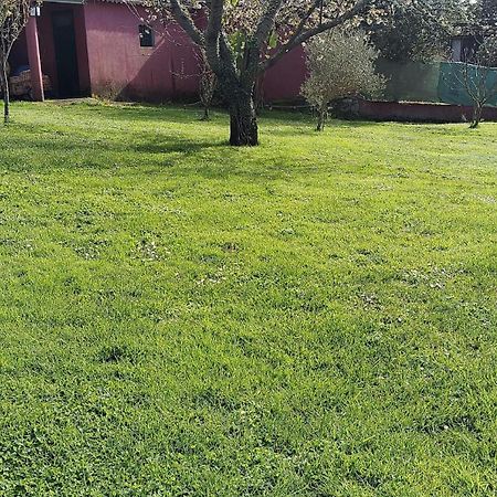 Alojamiento Entero Con Piscina Y Jardin. Ourense Extérieur photo