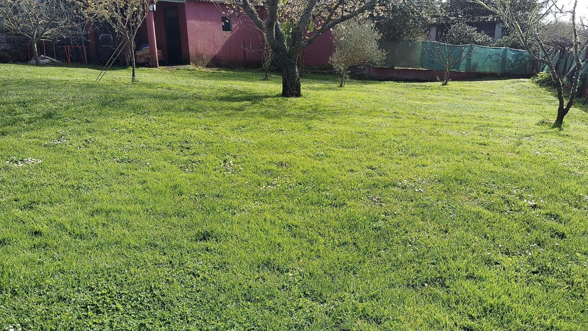 Alojamiento Entero Con Piscina Y Jardin. Ourense Extérieur photo